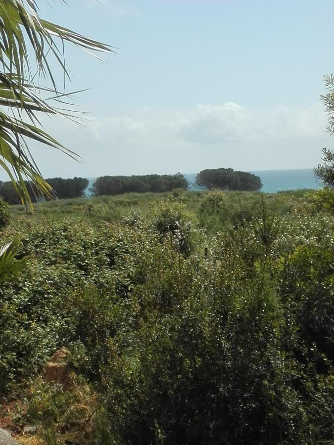 Linguizzetta Les Jardins De La Mer Marine De Bravone - 2 Chambres A Lit Plus Sofa Avec Piscine A Cote Mer מראה חיצוני תמונה