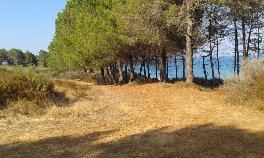 Linguizzetta Les Jardins De La Mer Marine De Bravone - 2 Chambres A Lit Plus Sofa Avec Piscine A Cote Mer מראה חיצוני תמונה